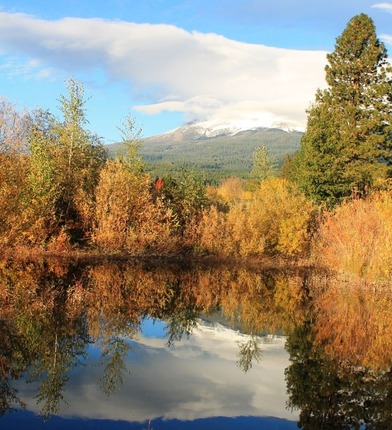  Sisson Meadow Parlk, 10-29-2014 184