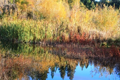  Sisson Meadow Parlk, 10-29-2014 134