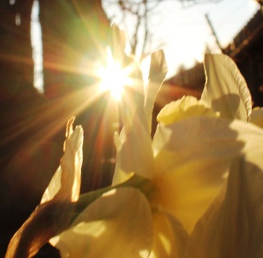 CC & Morning Sun, 3-29-2016 368