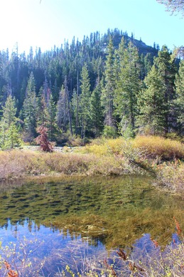 IMG_3130 (2)