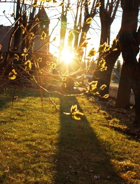CC & Morning Sun, 3-29-2016 353