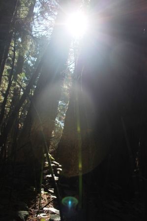 50 web, Big Springs, 8-11-2013 210