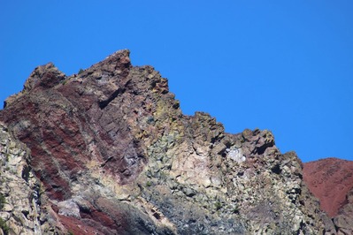 IMG_2113(S)