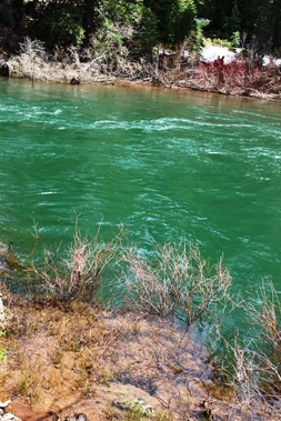 McCloud River 4-15-2017 303