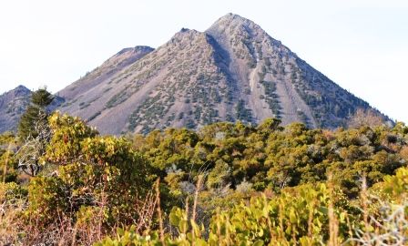 Black Butte, 1 web, 2-21-'12, IMG_9639