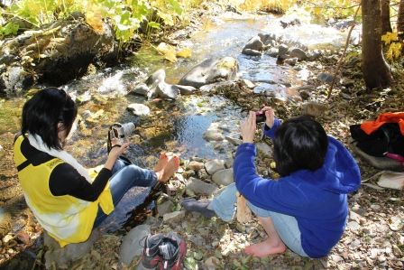  web, McCloud River,, 10-16-2013 283