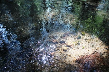 5 web, Big Springs, 8-11-2013 068