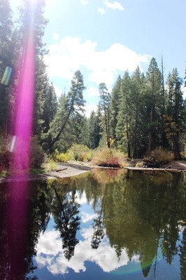  Shasta, 10-18-2016 454