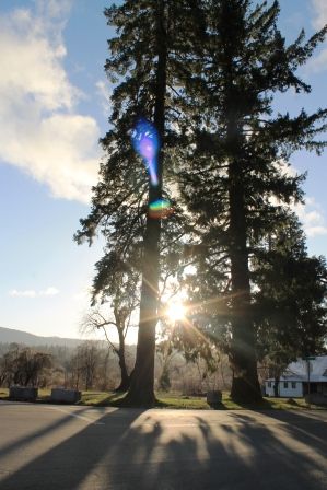  Shasta City,   14 web, 3-21-2013 118