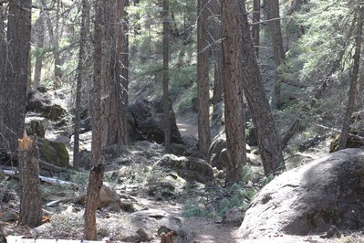 IMG_3267(2)