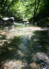 Faery Falls,   29 web, 7-24-'10 040