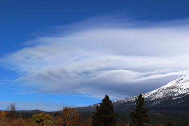  Shasta, 11-18-2015 290