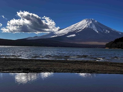 image_50393601(1)