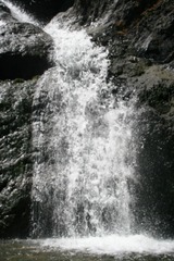 Faery Falls,  10 web, 7-24-'10 125