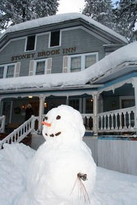3−24−’11大雪の中、3ウェブ、