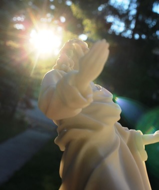 35 doc. Jesus with Shasta Daisy 6-29-2018 189