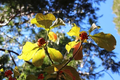 IMG_4513(1)