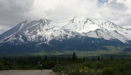  Shasta, 1 web, 6-25-'11 085