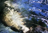 Faery Falls, 30- web,7-24-'10 066