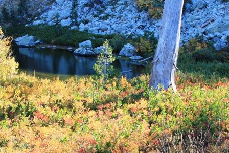 Heart Lake, 40 web, 10-25-'11, IMG_4406