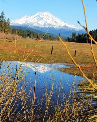  Shasta City,  25 web,  3-21-2013 401