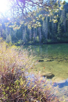 IMG_2994 (2)