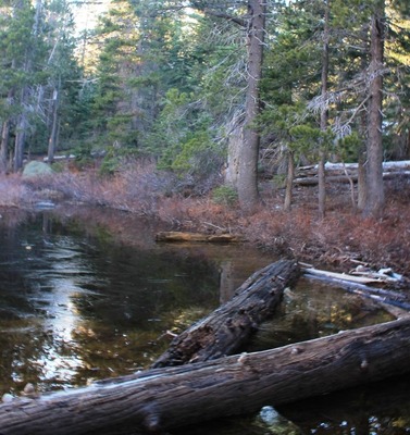  Castle Lake, 1-24-2015 224 - Copy