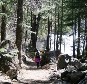 McCloud  Middle Falls,  1 web, 4-27-'2011 115