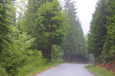 IMG_4312 (2)