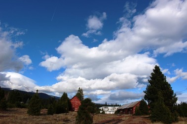  Shasta, 11-18-2015 314
