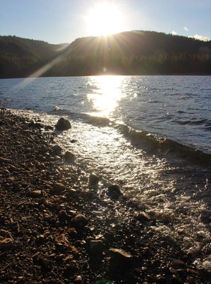 3 doc. Lake Siskyou IMG_0753 (2)10-20-2019