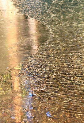 IMG_7147(S) - Copy