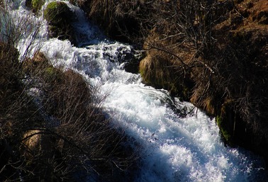 IMG_3087 (2)