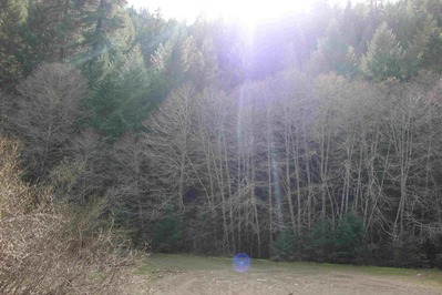 IMG_7238(1)