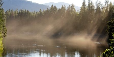Lake Siskyou, 10 web, 8-26-'11, IMG_4164