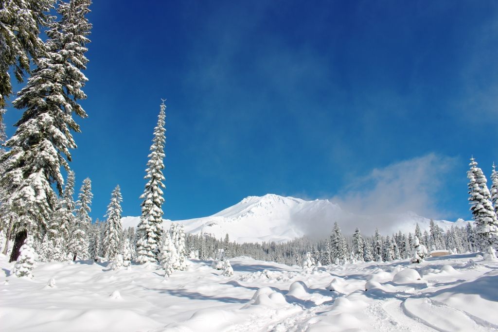 純白の雪をまとっているシャスタ山 シャスタ便り 純白の雪をまとっているシャスタ山 シャスタ便り
