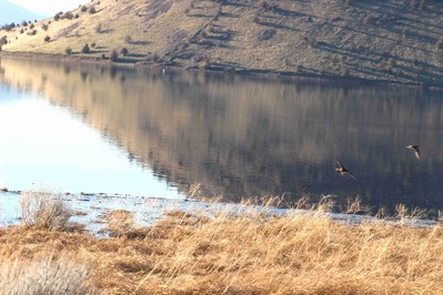 IMG_2241(1)