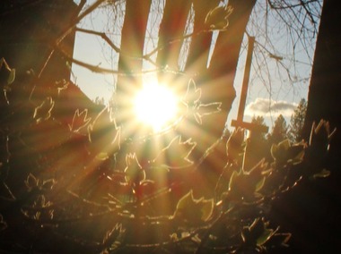 CC & Morning Sun, 3-29-2016 354