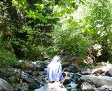 Faery Falls,7 web, 7-24-'10 115