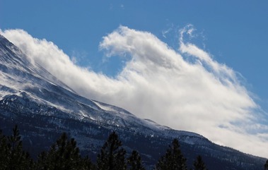 IMG_8405 (2)1-30-2021