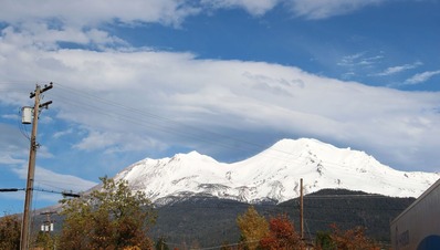 IMG_5052 (2)