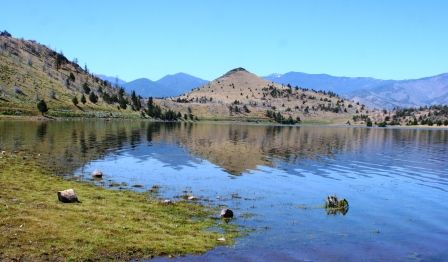 Lake Shastina  4 web,  7-21-'11 017