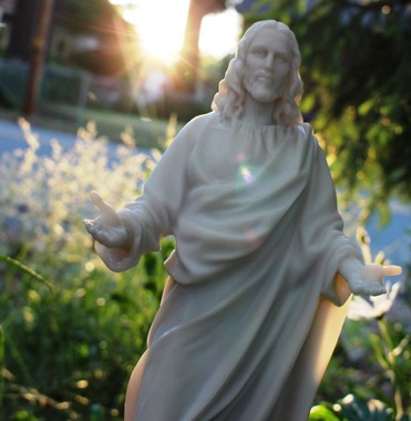 29 doc. sus with Shasta Daisy 6-29-2018 141