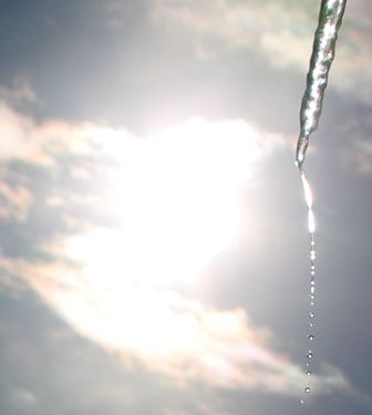 43 web, 12-29-'12, IMG_7234