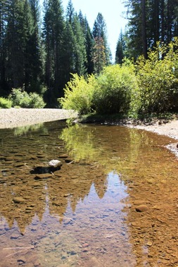 14 doc. McCloud Falls, 9-15-2018 269 - Copy