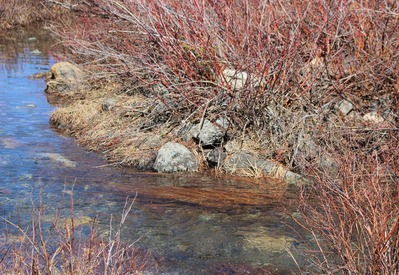 IMG_1286 (2) - Copy