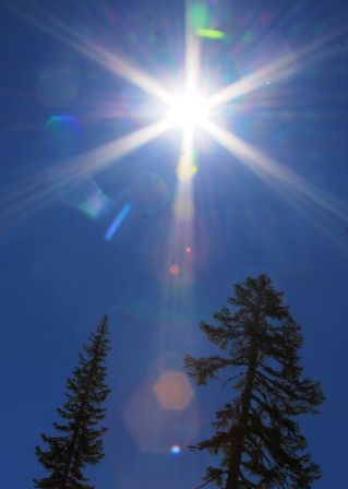 4 web, 6-22-'12, IMG_6288