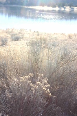 IMG_2212(1)