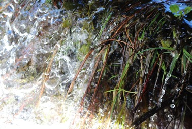 IMG_2343 (2)
