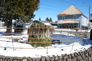 1、凍りついた噴水、McCloud, 2-26-'11 036